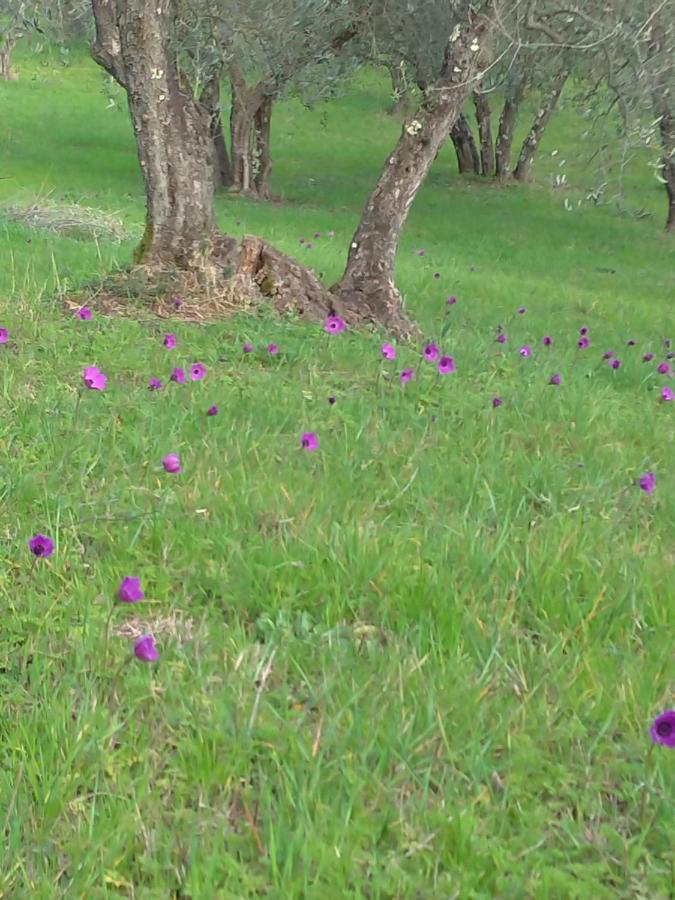 Apartamento Poggio Gherardo *
